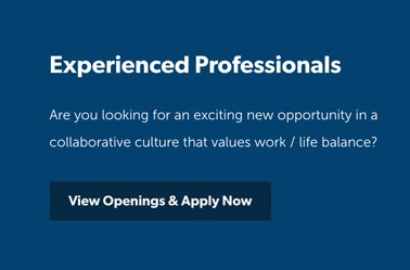 StoneTurn experienced professionals